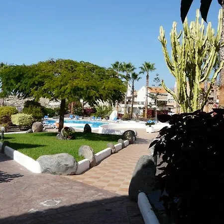 Near Playa El Duque Lägenhet *